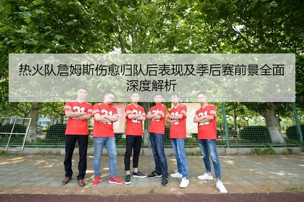 热火队詹姆斯伤愈归队后表现及季后赛前景全面深度解析